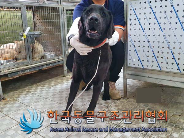 한국동물구조관리협회_411306202400317