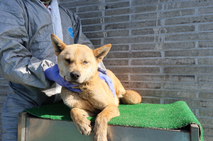제주 동물보호센터_450650202401266