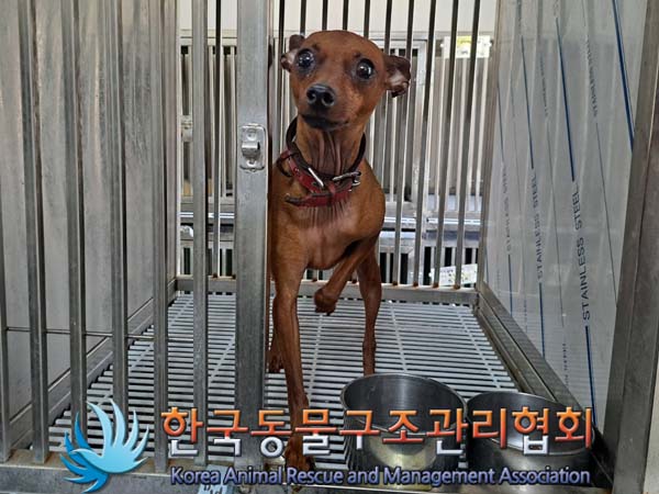 한국동물구조관리협회_411307202400162
