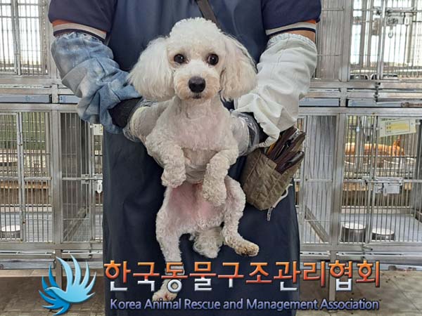 한국동물구조관리협회_411305202400234