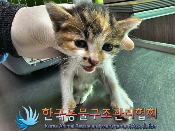 한국동물구조관리협회_411310202400213