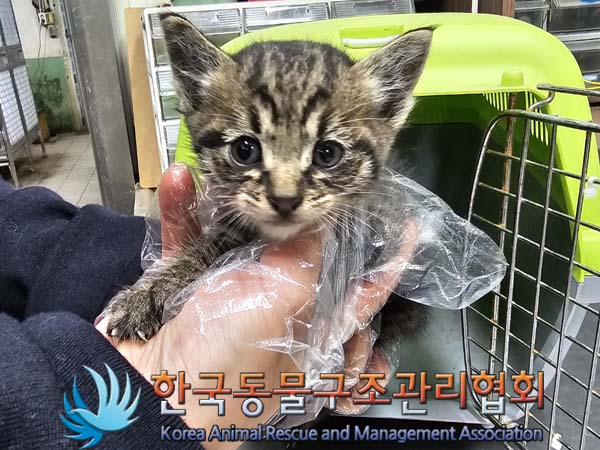 종료(자연사) 한국…