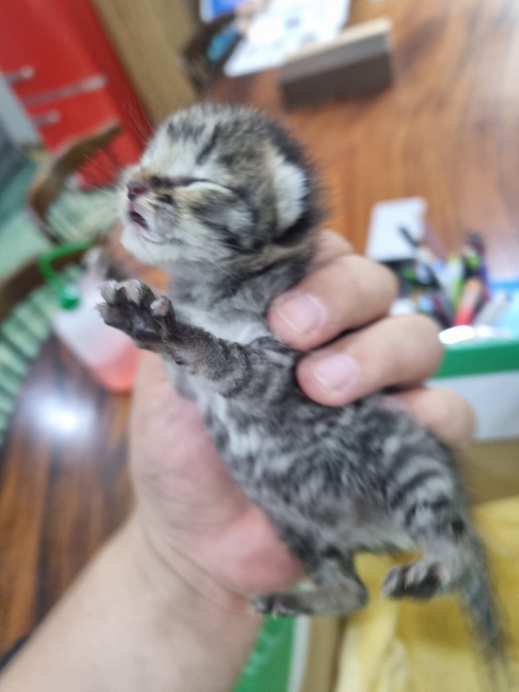 군위종합동물병원_427514202400254