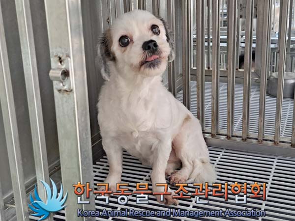 한국동물구조관리협회_441382202400353