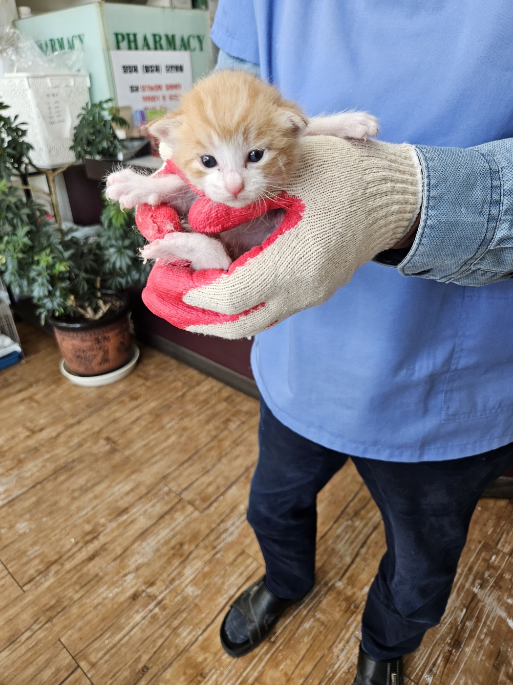 정선가축병원_442429202400390