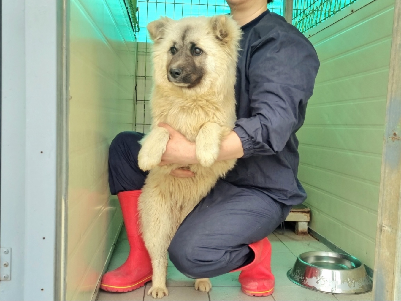 (사)영일동물플러스_447502202400325