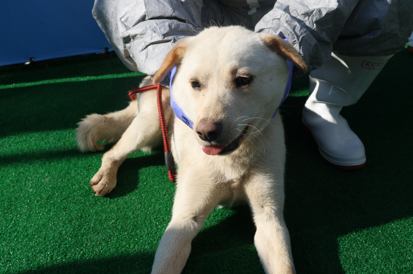 제주 동물보호센터_450650202401279