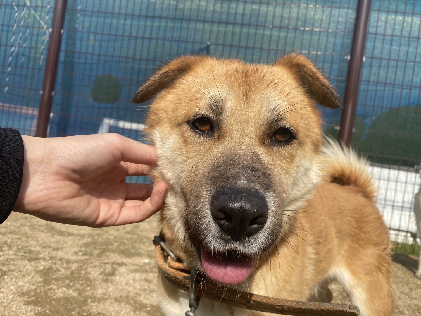 한국야생동물보호협회_441403202400155
