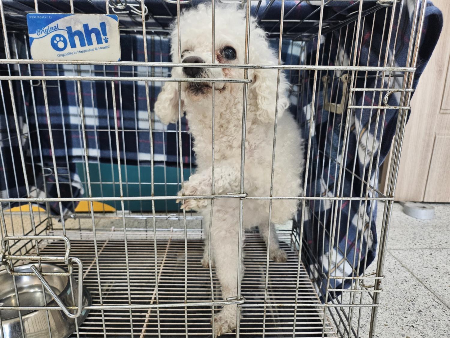 고양시동물보호센터_441394202400855