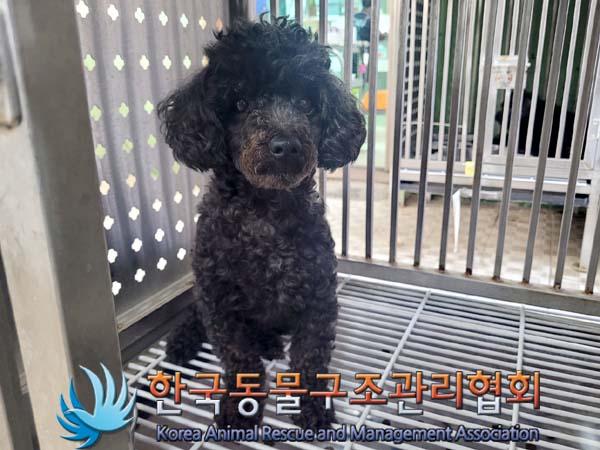 한국동물구조관리협회_411304202400207