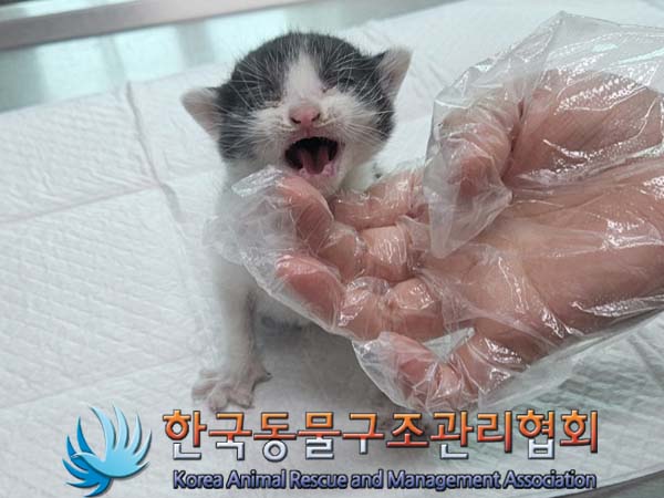 종료(자연사) 한국…