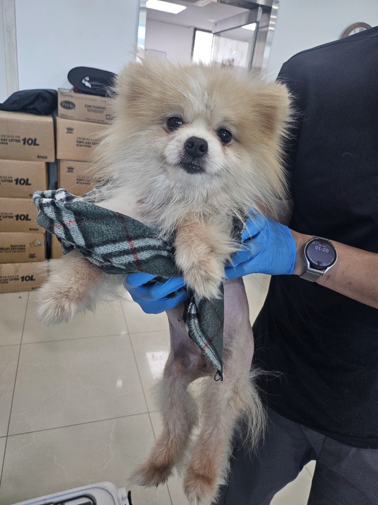 반려동물보호센터_443571202401351