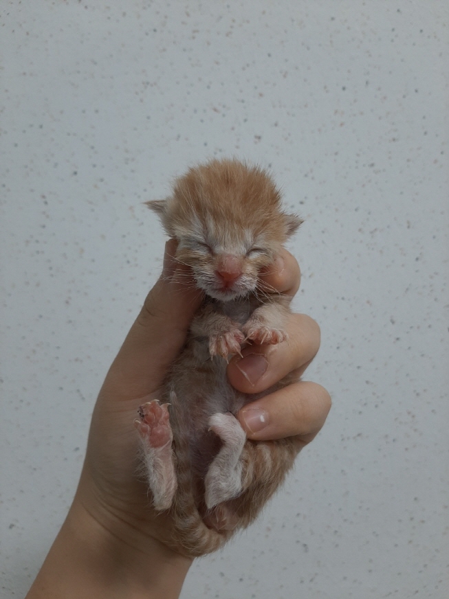 박영재동물병원_445464202401480