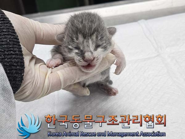 종료(자연사) 한국…