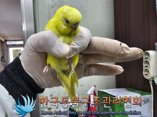 한국동물구조관리협회_411309202400100