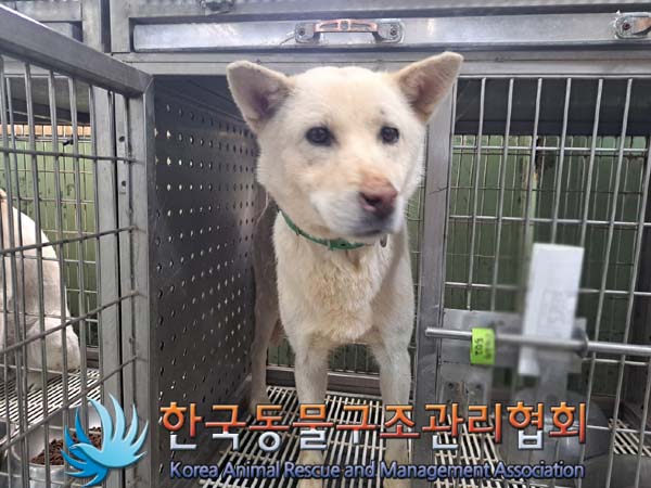 한국동물구조관리협회_441406202400713
