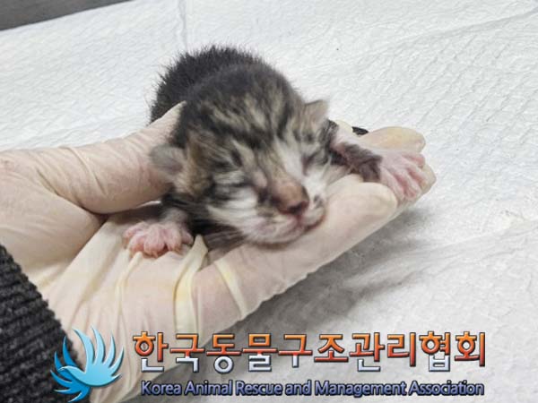 종료(자연사) 한국…