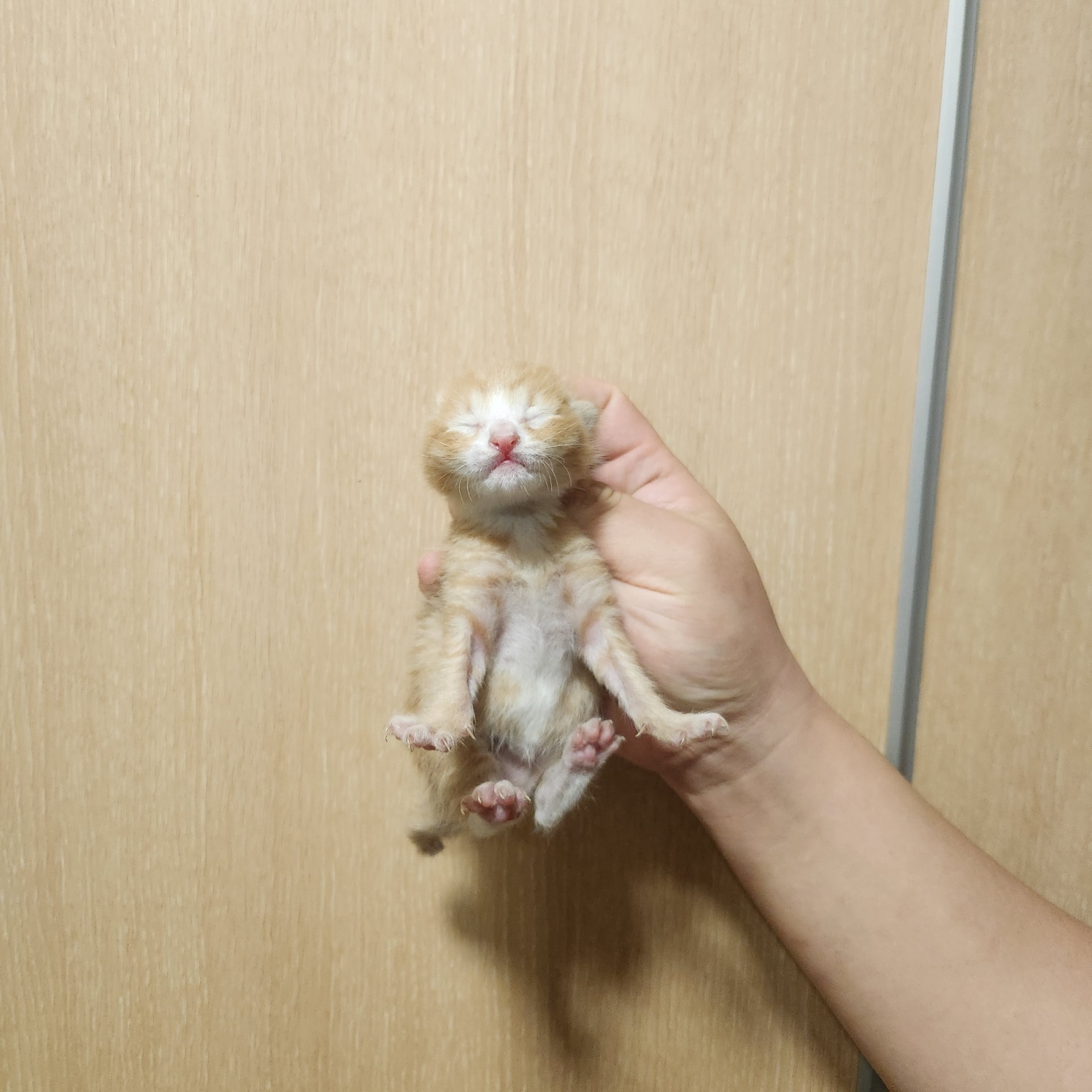 부산동물보호센터_426325202400048
