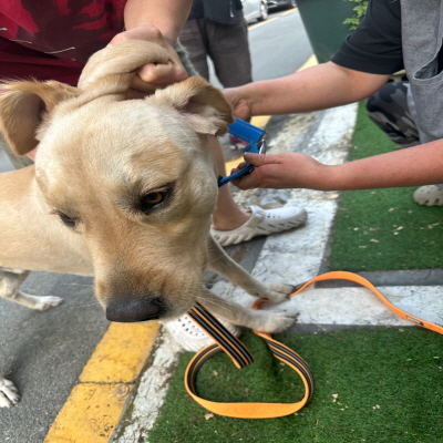 (사)동부동물보호협회_426330202400051