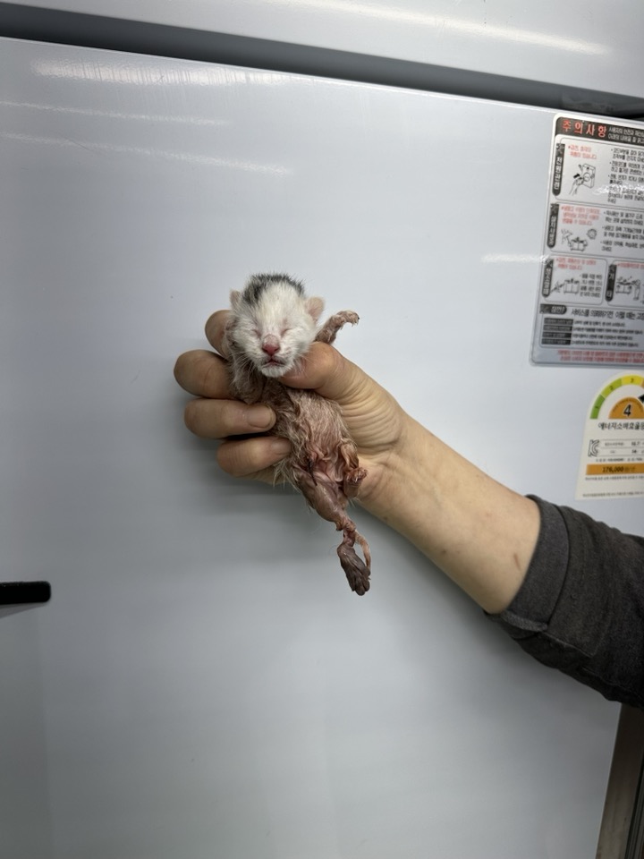 신공항동물병원_428349202400306