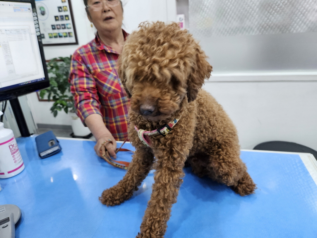 남산동물병원_411302202400275