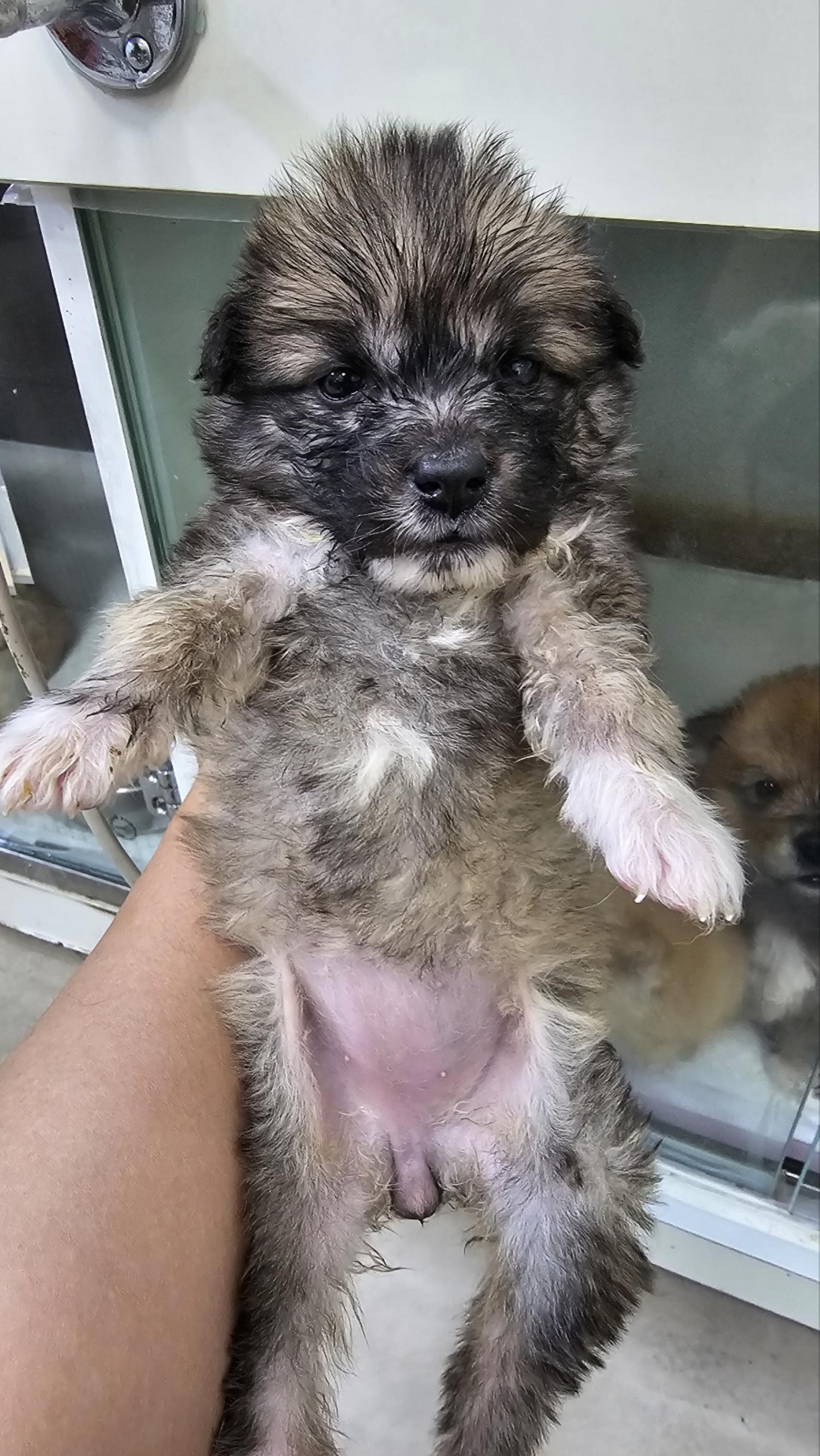 전북말산업복합센터_445471202400235