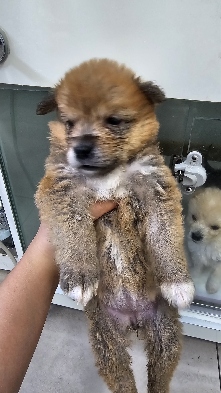 전북말산업복합센터_445471202400237