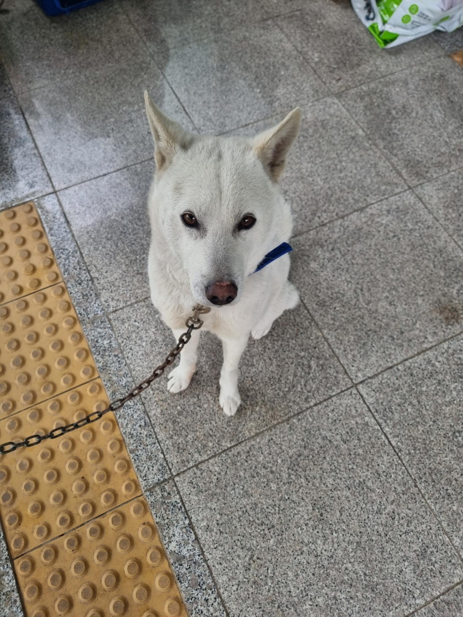구미시 동물보호센터_447508202400648
