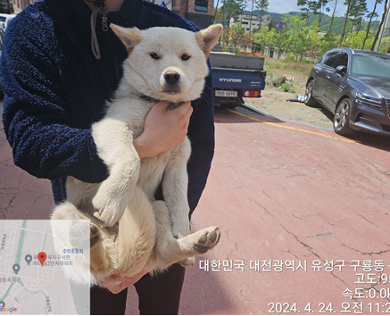 대전동물보호센터_430367202400299