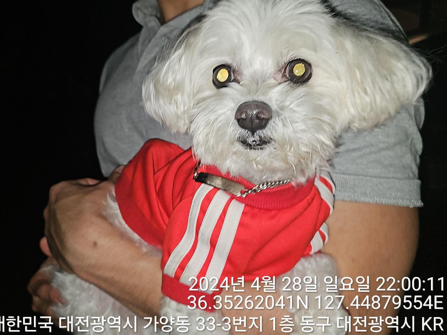 대전동물보호센터_430364202400115