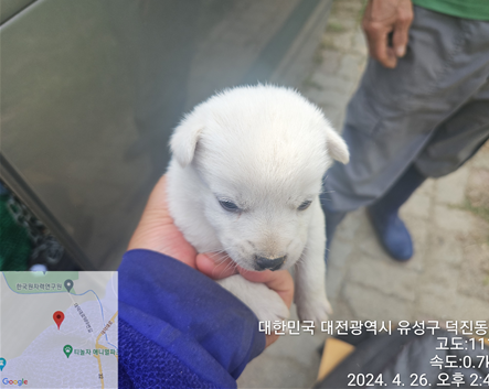 금강유역환경청_430367202400304