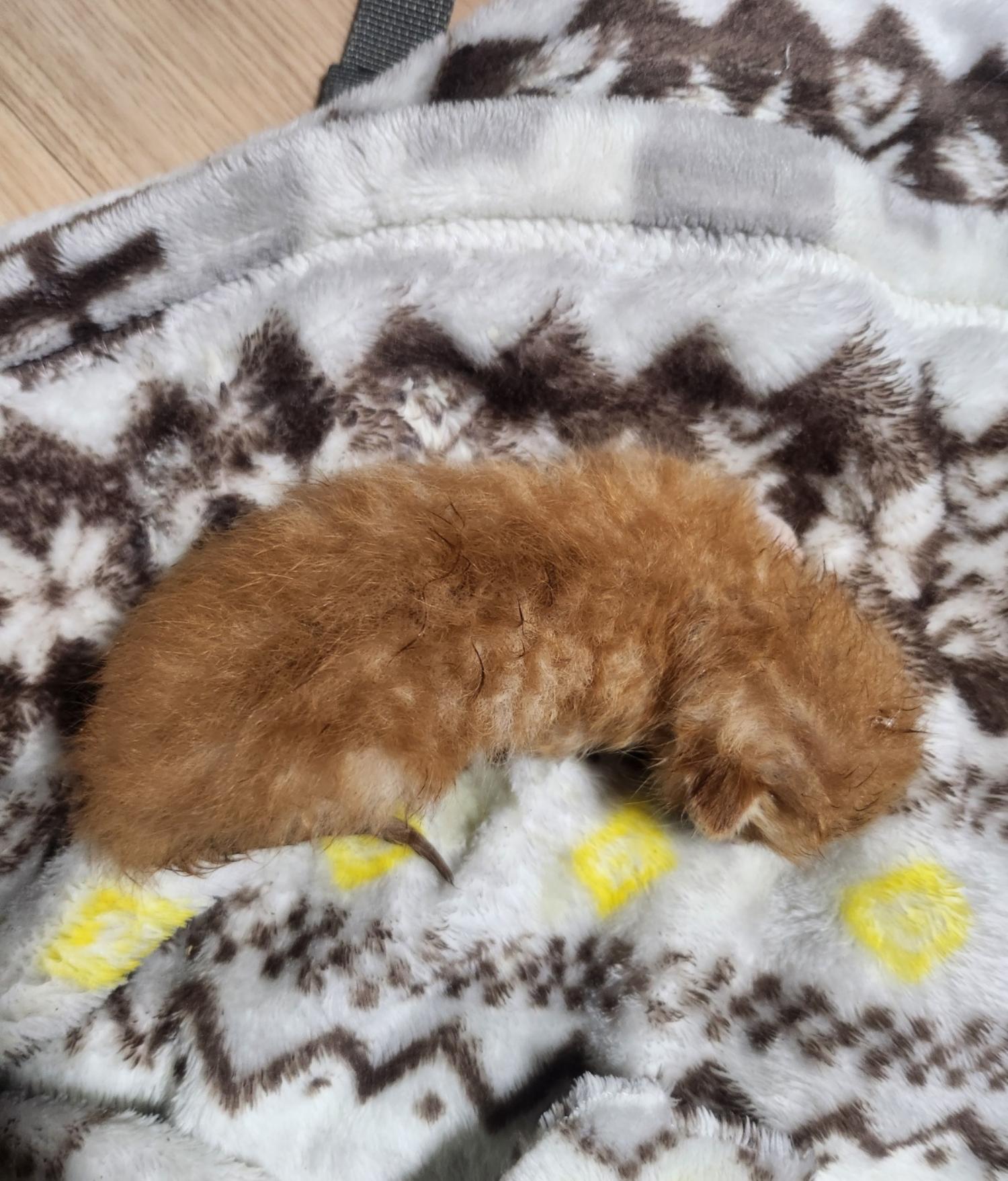 울산유기동물보호센터_431369202400198