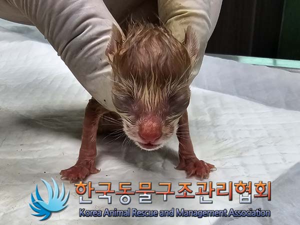 종료(자연사) 한국…