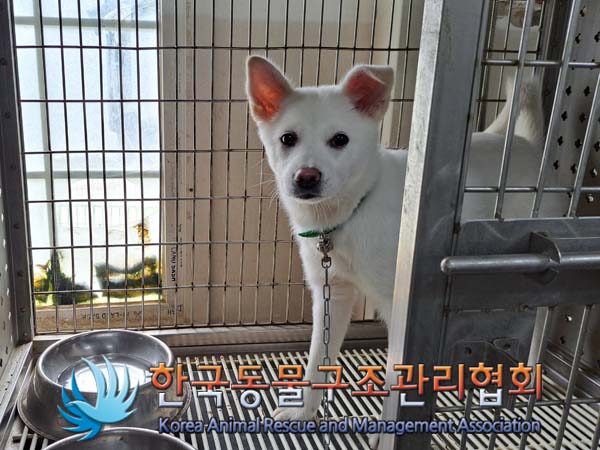 한국동물구조관리협회_411316202400222