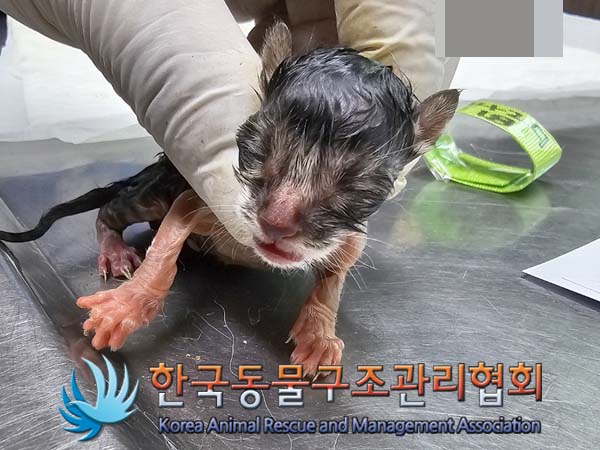 한국동물구조관리협회_411311202400291