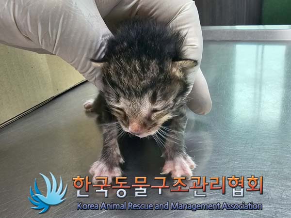 종료(자연사) 한국…