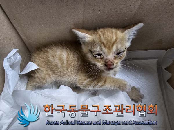 종료(자연사) 한국…