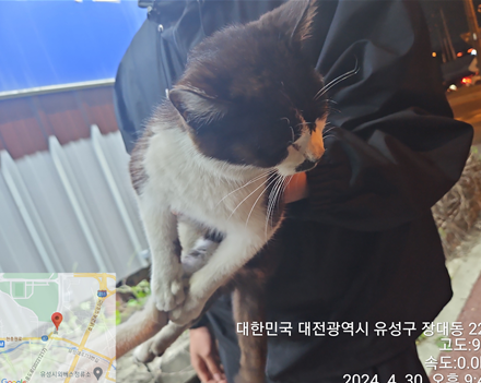 대전동물보호센터_430367202400307