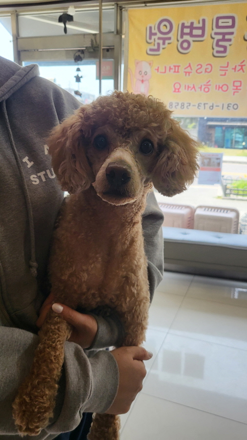 이성준동물병원_441408202400575