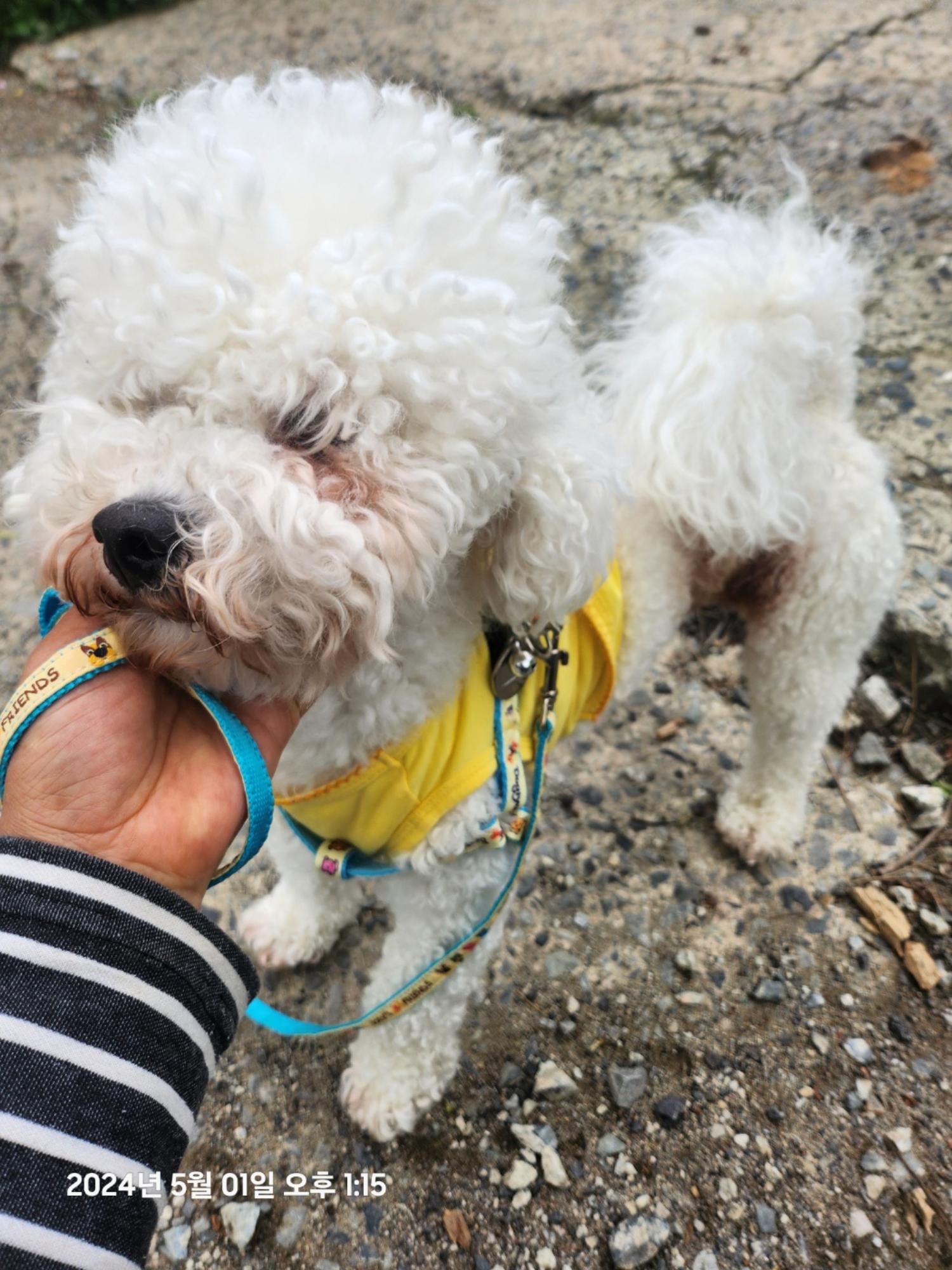 울산유기동물보호센터_431370202400239