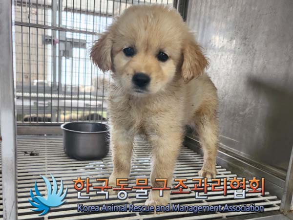 한국동물구조관리협회_441560202400465