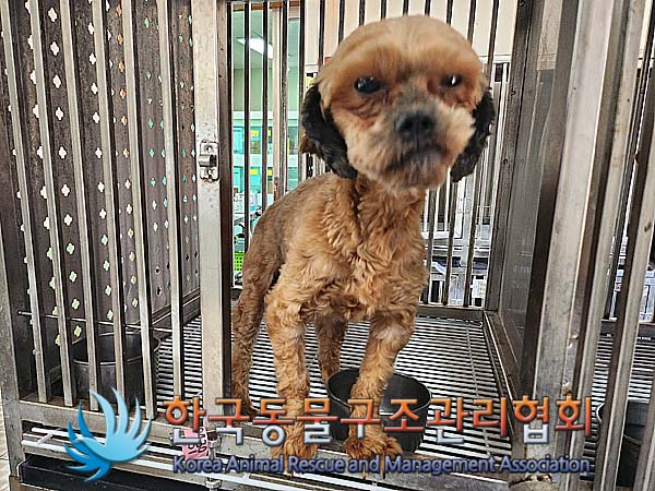 한국동물구조관리협회_411305202400252