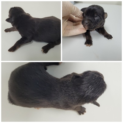 논산시 동물보호센터_444454202400313