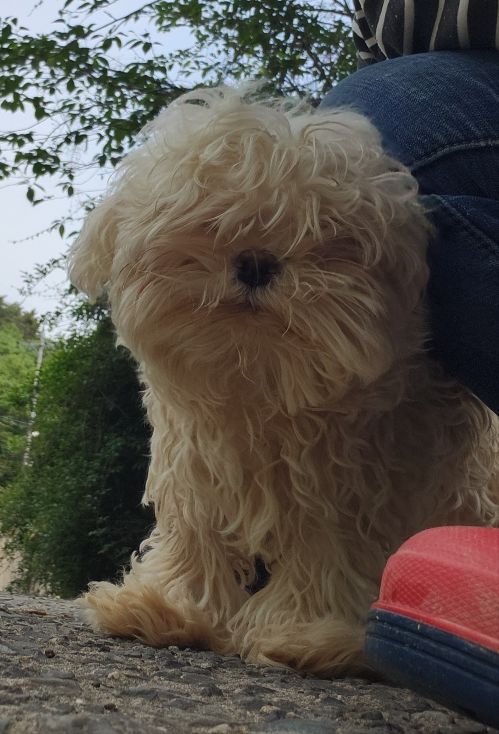 울산유기동물보호센터_431372202400183