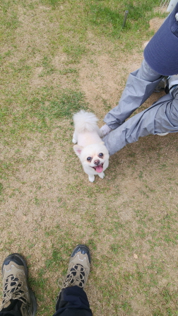 익산유기동물보호소_445468202401131