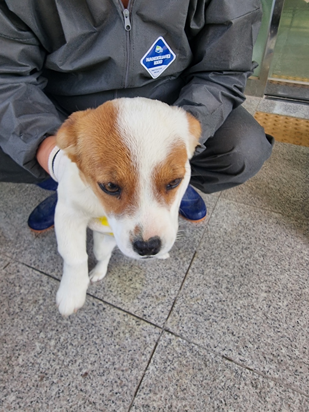 구미시 동물보호센터_447508202400651