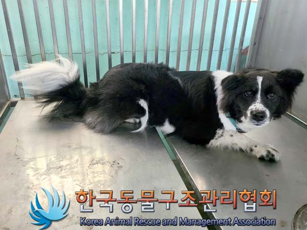 종료(반환) 보더 …