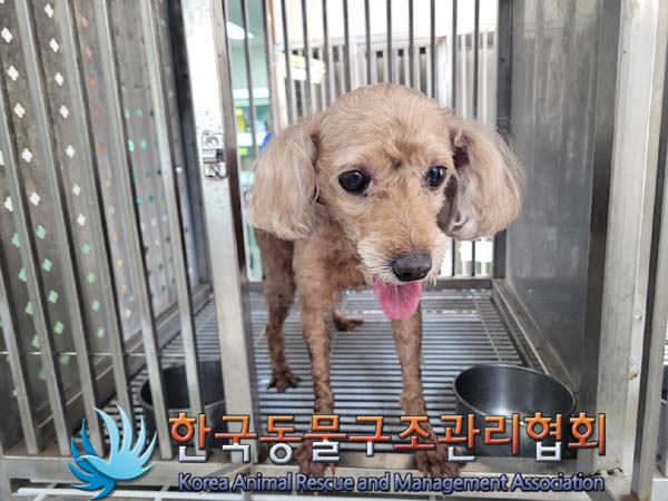 한국동물구조관리협회_411309202400140