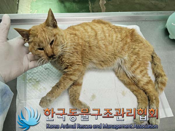 종료(자연사) 한국…