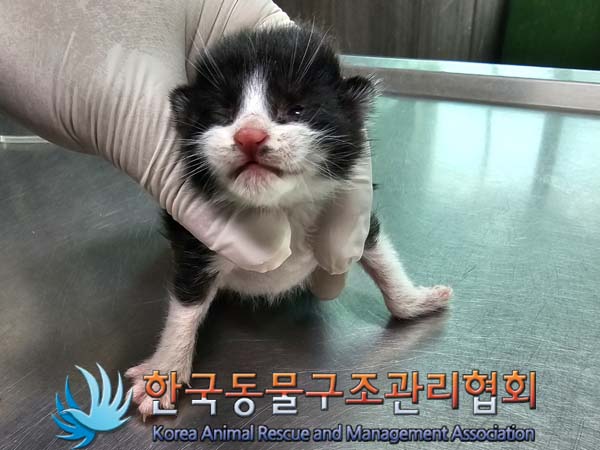 한국동물구조관리협회_441560202400480